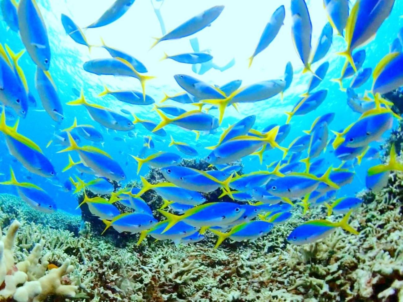 Villa Unarizaki Urauchi ภายนอก รูปภาพ